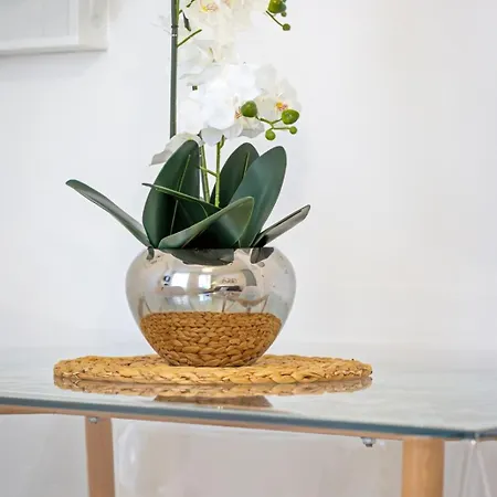 Leandre Entierement Renove Avec Exterieur 公寓